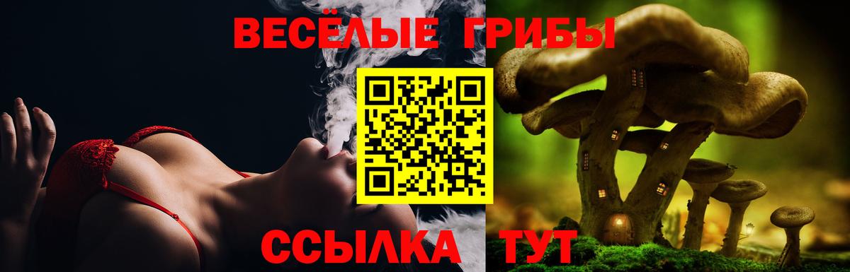 Псилоцибиновые грибы Cubensis Орск
